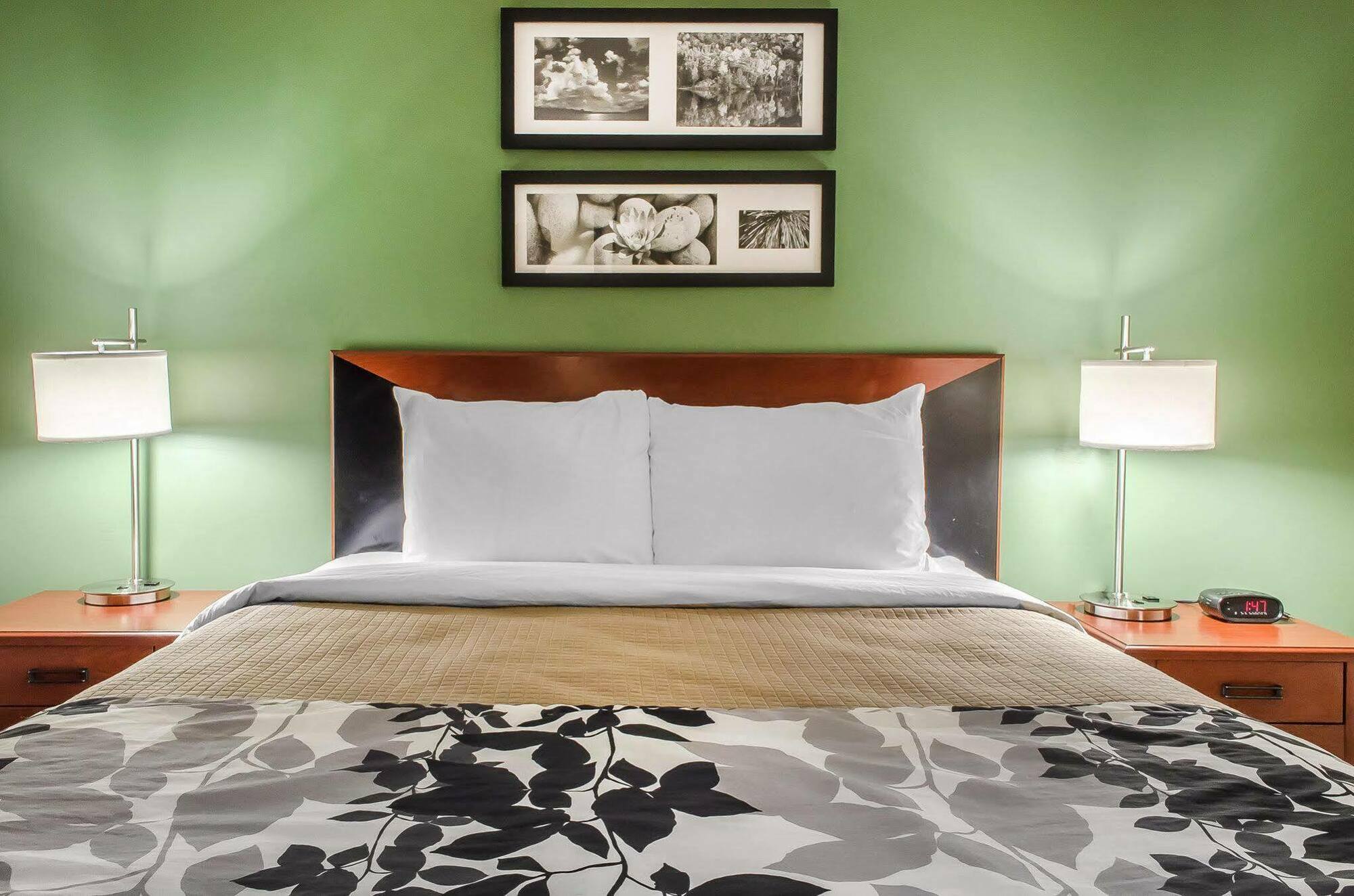Sleep Inn Near Penn State - State College, Pa Ngoại thất bức ảnh